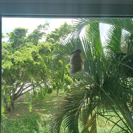 Pousada Encantadas Pontal do Paraná Exteriör bild